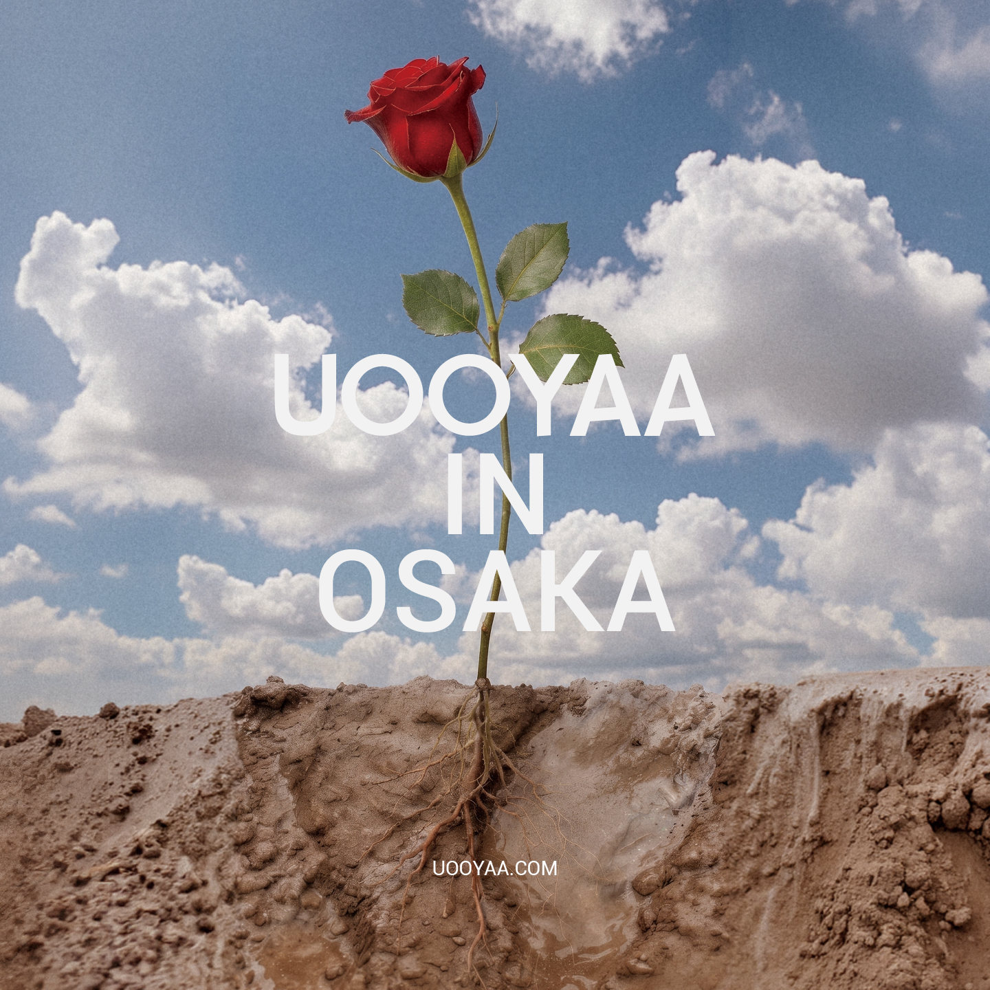 「UOOYAA」 POP UP STORE